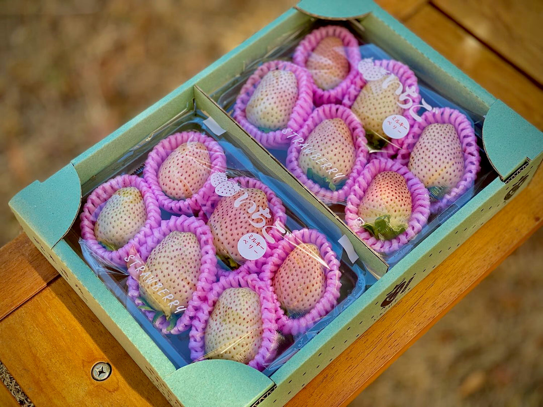 桃のようにまろやかな白いちご『ミルキーベリー』いちご王国・栃木初の  