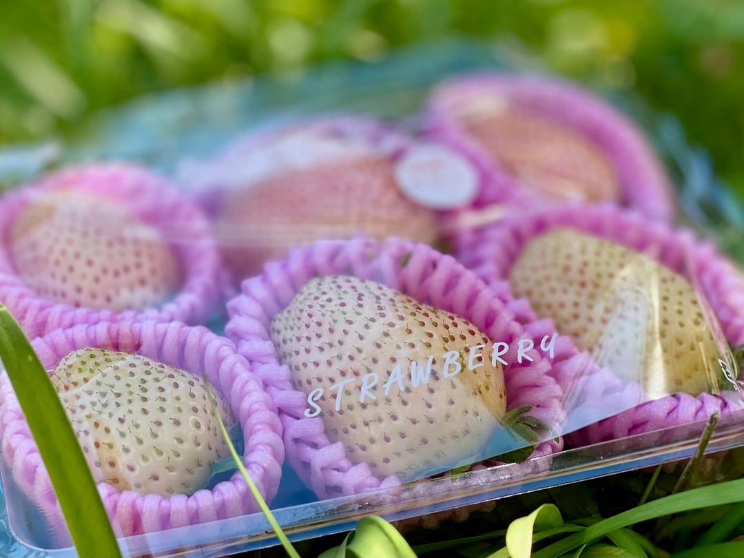 桃のようにまろやかな白いちご『ミルキーベリー』いちご王国・栃木初の  