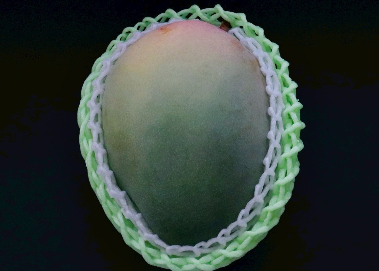 流通量2%！幻の「プレミアムキーツマンゴー」味わい、サイズとも