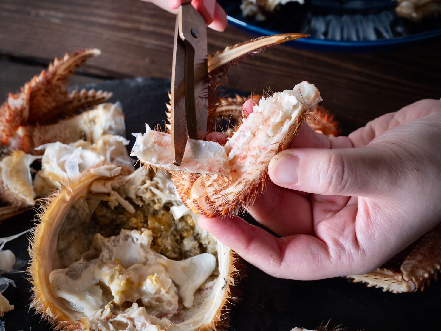 800gの特級品『北海道産・毛蟹』1年を通して北海道の旬の漁場から最