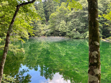画像をギャラリービューアに読み込む, 市場には出回らない魚沼の秘境「新潟県・津南産コシヒカリ」水の郷・津南の超軟水「天然湧水」も産地直送
