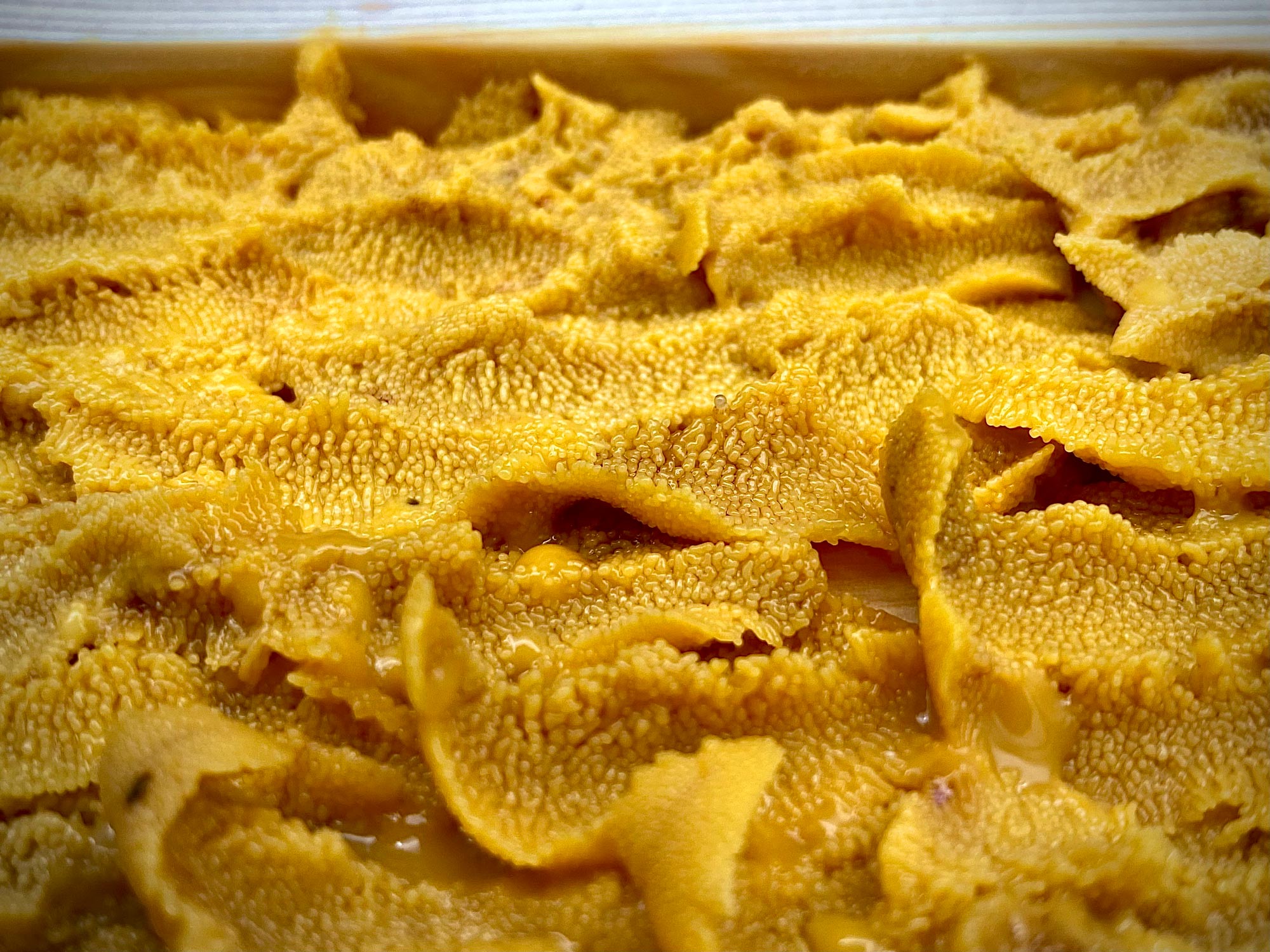 03_04176e98-5bea-4ba3-9531-