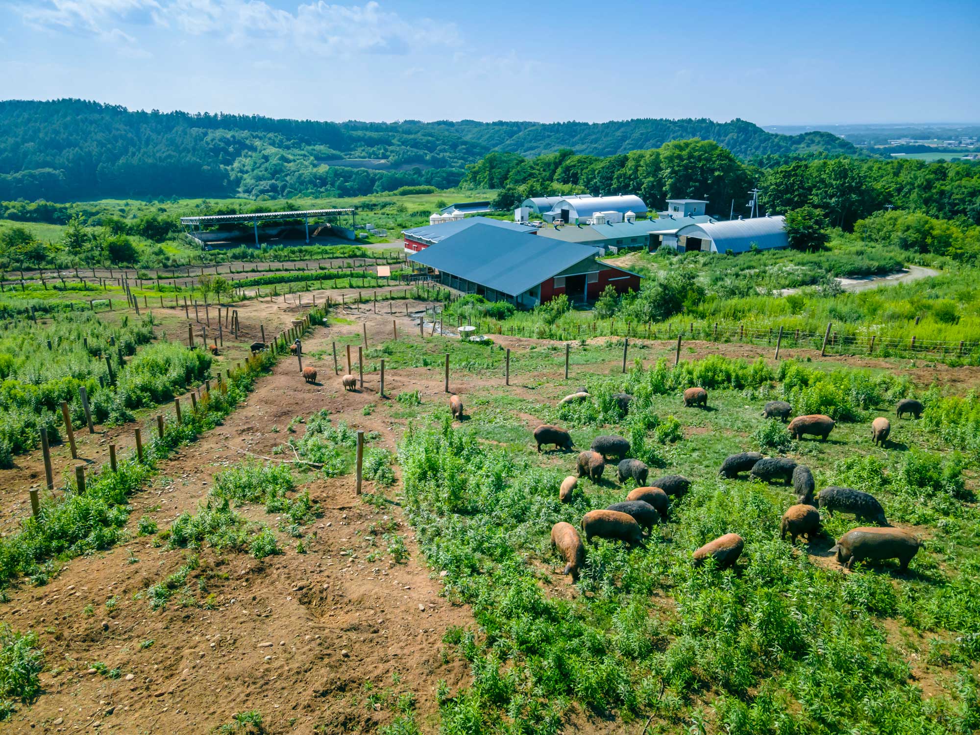 farm.jpg?v=1709104637&width=360