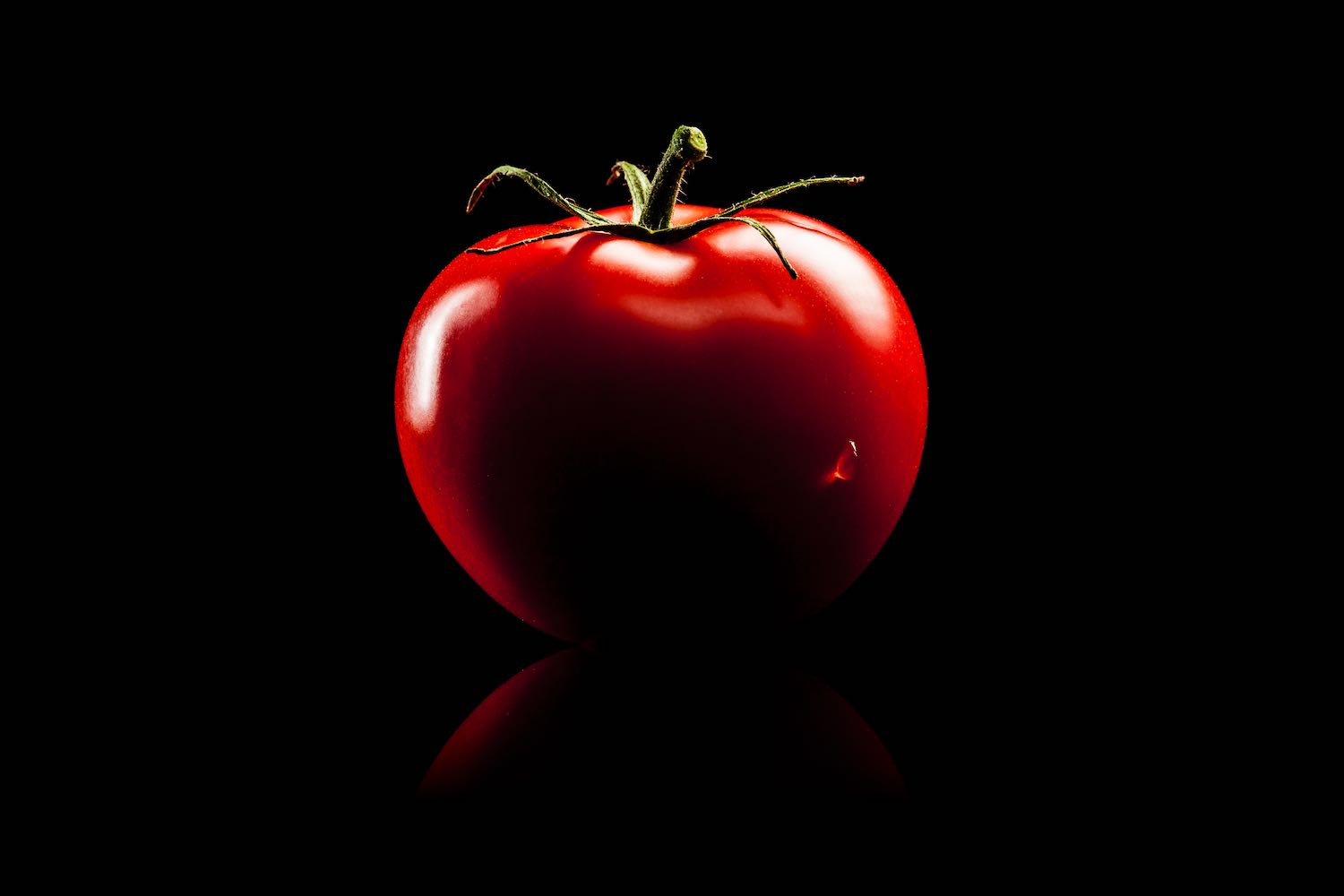 世界最高峰のトマト「光樹とまと プレミアム」糖度検査と食味で厳選された特級品