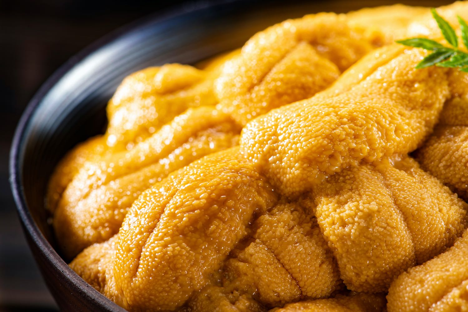 北海道松前産・生ウニ（ミョウバン不使用）300g／超レア！ミョウバン不使用の折ウニ
